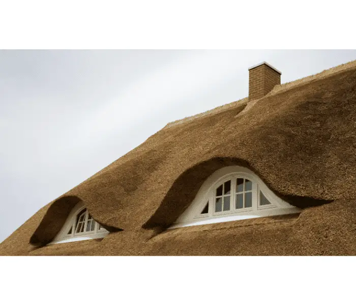 thick of thatched roof