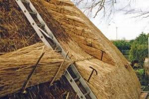 How Thick is a Thatched Roof?