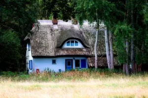Do Thatched Roofs Have Bugs?