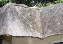 Problems With Thatched Roofs