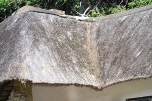 Problems With Thatched Roofs