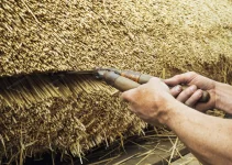 What Are Thatched Roofs Made of?