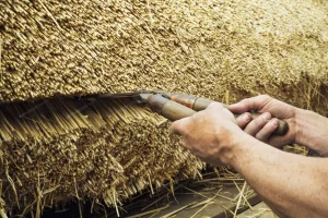 What Are Thatched Roofs Made of?