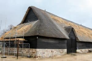 What to Do About Bird Damage to a Thatched Roof