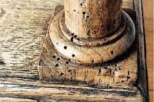 How to Treat Woodworm in Antique Furniture 