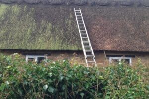 Moss On Thatched Roof