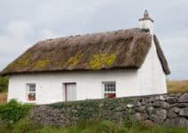 Do Thatched Roofs Grow?