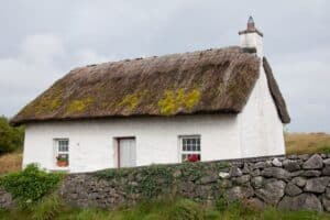 Do Thatched Roofs Grow?