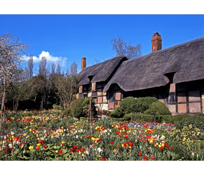 the garden thatched cottage