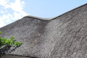 How Do You Comb a Thatched Roof?