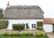Are Thatched Roofs Eco-Friendly?
