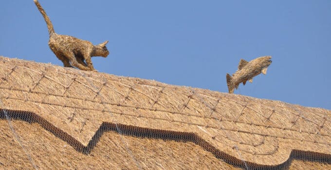 Why Do Thatched Roofs Have Animals on Top?