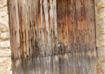 How To Treat Woodworm in a Shed