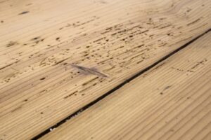 How to Treat Woodworm in Floorboards