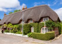 How Do You Clean and Maintain a Thatched Roof?
