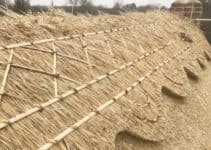 Straw for Thatching