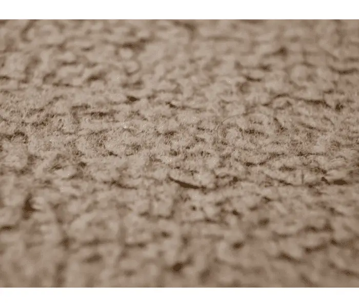 dirty carpet fibers