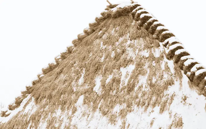 thatched roof with snow