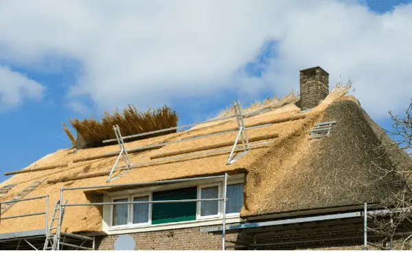 thatched roof needs regular maintenance