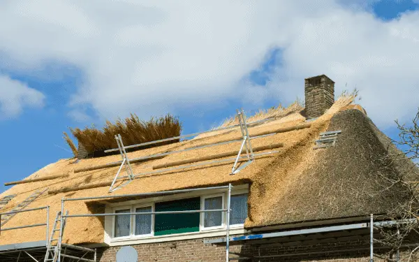 scaffolding of thatched roof