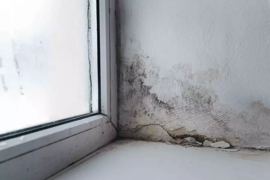 How To Get Rid of An Old House Smell?
