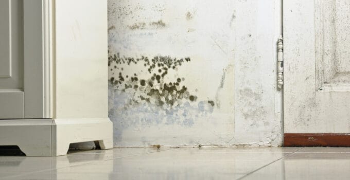 How to Fix Damp in An Old House: My Pro Tips