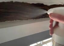 Can You Spray Woodworm?
