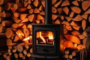 Can You Burn Poplar in a Log Burner?