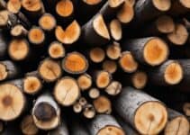 What Logs Should Not Be Used in Log Burner?